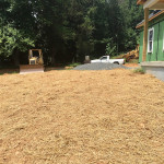 Front yard taking shape!