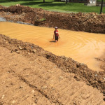 We've had our share of challenges!